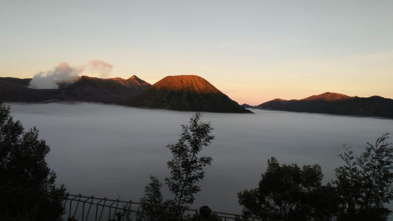 Cemara Indah Hotel Bromo Exterior photo