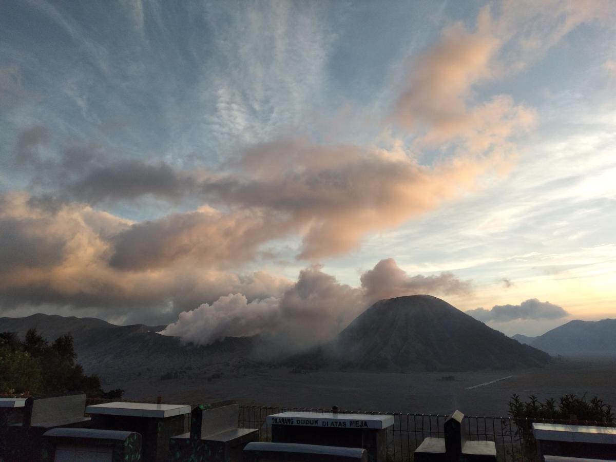 Cemara Indah Hotel Bromo Exterior photo