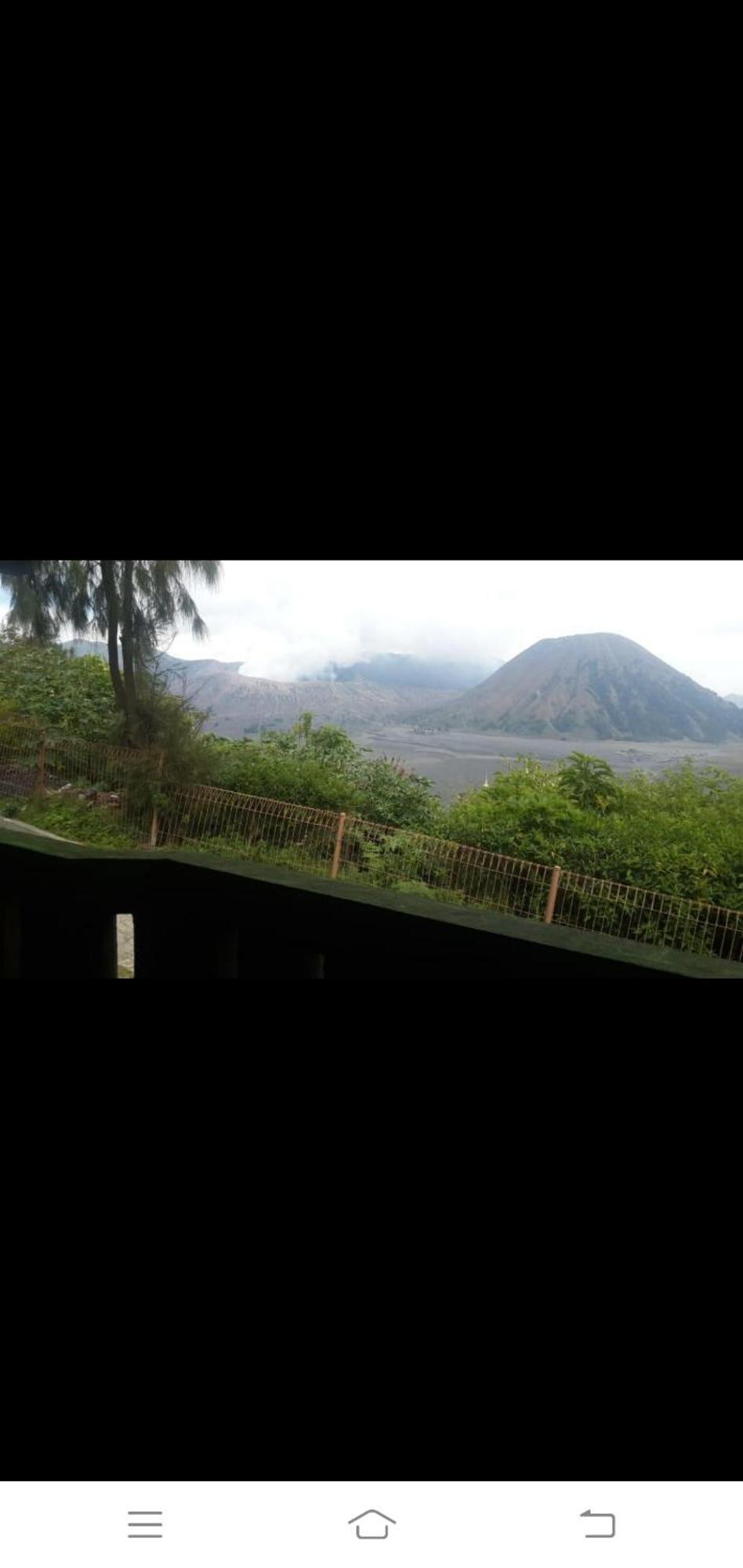 Cemara Indah Hotel Bromo Room photo