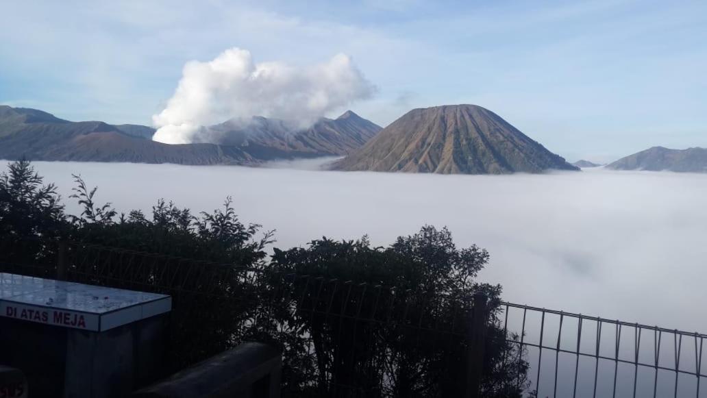 Cemara Indah Hotel Bromo Exterior photo