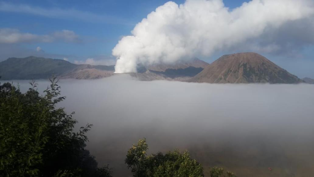 Cemara Indah Hotel Bromo Exterior photo